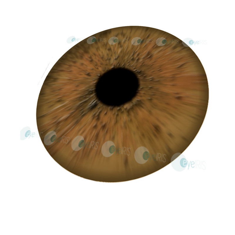 ocular prosthesis artificial eye ocular irises